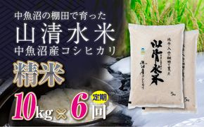 【定期便／全6回】精米10kg　新潟県魚沼産コシヒカリ「山清水米」十日町市 米