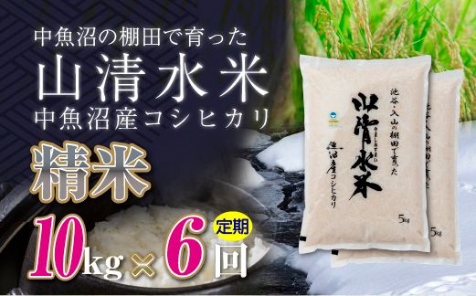 【定期便／全6回】精米10kg　新潟県魚沼産コシヒカリ「山清水米」十日町市 米