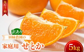 【先行予約】【家庭用】せとか 5kg ※離島への配送不可 （2027年3月5日より順次発送） IKTA037
