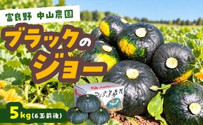 【2026年10月発送】富良野市産 かぼちゃ「ブラックのジョー」 5kg (中山農園) 野菜 南瓜
