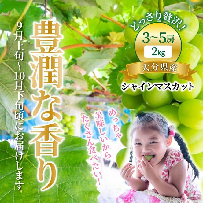 【先行予約】【令和8年発送】おおいたの豊潤シャインマスカット 約2㎏_1615Ｒ