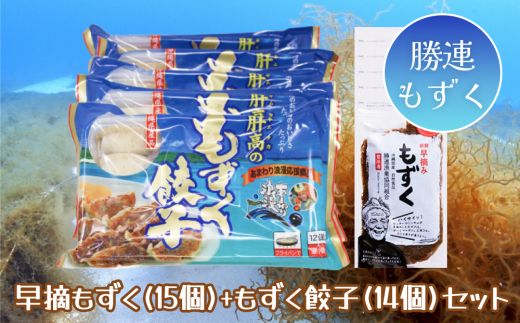 早摘みもずく（15袋）＆もずく餃子（12個入×14袋）セット【勝連漁業協同組合】