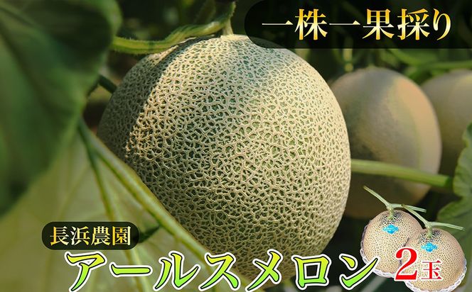 【数量限定50】アールスメロン（ネットメロン） 2玉（2027年7月上旬～発送） 国産 フルーツ 果物 メロン 甘い 糖度 ハウス栽培 リピート めろん ふるさと納税 メロン ふるさと納税 期間限定　NG00016