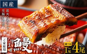 うなぎ ご家庭用 国産 ランキング 獲得 鰻 真空パック おすすめ うなぎの蒲焼 《発送時期が選べる》 有頭 ふるさとのうぜい 鶏炭火焼 1尾 2尾 3尾 4尾 訳あり 定期便 簡易包装 不揃い 規格外 ウナギ unagi 蒲焼 秋 冬 旬 配送時期 冷凍---mifune_lcl_71_1p---