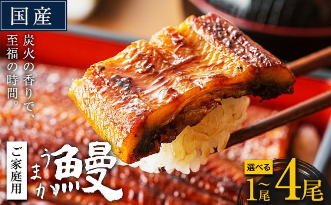 うなぎ ご家庭用 国産 ランキング 獲得 鰻 真空パック おすすめ うなぎの蒲焼 《発送時期が選べる》 有頭 ふるさとのうぜい 鶏炭火焼 1尾 2尾 3尾 4尾 訳あり 定期便 簡易包装 不揃い 規格外 ウナギ unagi 蒲焼 秋 冬 旬 配送時期 冷凍---mifune_lcl_71_1p---