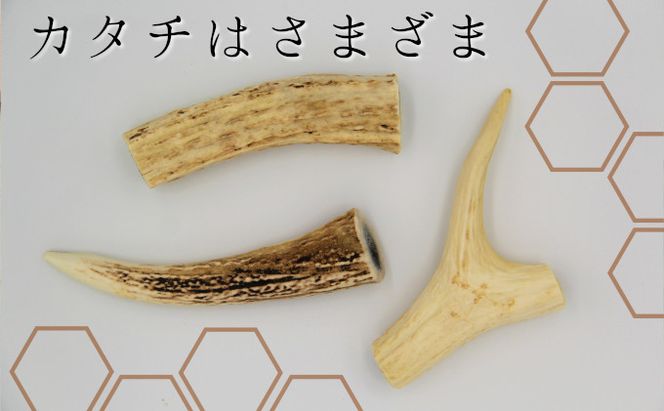 ペットのおやつ【エゾシカ角】3本セット 北海道 南富良野町 ペット おやつ 餌 エゾシカ 鹿 角 犬 大型犬 中型犬 小型犬 雑貨 日用品 ペット用品 
