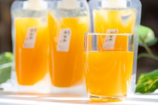 みかん 【定期便 6回】土佐乃かなやの三姉妹(みかんジュース) ３種類 各5本×6回 - 柑橘 ミカン みかんジュース みかん フルーツ 濃厚 果汁 100％ ストレート Wbe-0087