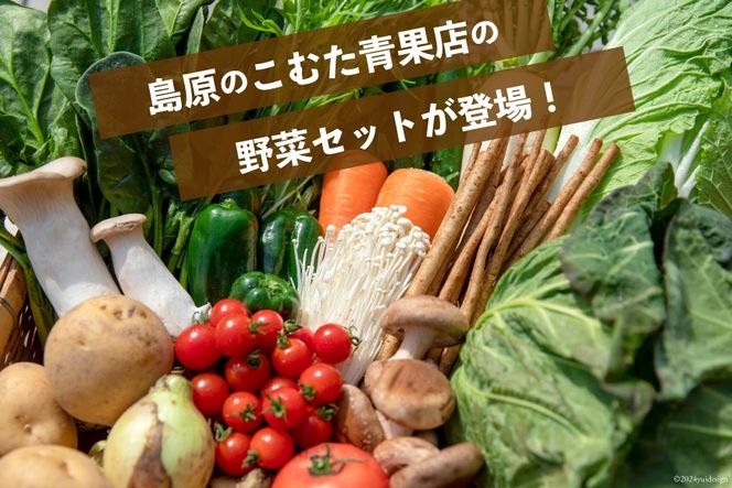 AI023【10～5月限定出荷】こむたの旬の野菜つめあわせ(13～15品目)おまかせ L セット 【 野菜 やさい 旬 種類 人気 オススメ 新鮮 詰め合わせ こむた 小無田 青果 長崎県 島原市 】