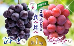 【2026年先行予約】岡山　花笑み農園『ニューピオーネ&クイーンニーナ』1kg(2房) / ぶどう 詰め合わせ 食べ比べ 真庭市【hana031-02】
