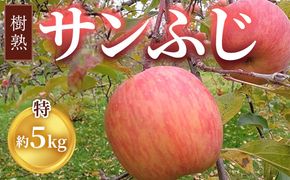 【早期予約】りんご 加積りんご 樹熟サンふじ特 約5kg｜ふじ 魚津市産 富山 リンゴ 林檎 くだもの 果物 フルーツ デザート 産地直送 富山県 ※北海道・沖縄・離島への配送不可 ※2024年12月上旬～2025年2月上旬頃に順次発送予定