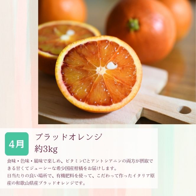 定期便全3回 【2月・3月・4月発送】 和歌山の春の柑橘 （ポンカン・はるか・ブラッドオレンジ）秀品【tkb452】