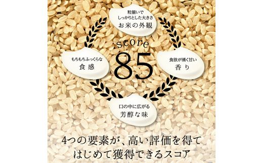 富山県ブランド米 富富富 精米 10kg ふふふ ブランド米 国産 米 お米 日本米 ギフト 贈り物 備蓄 防災 食品 陽咲玲 はるざれ F6T-1011