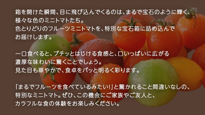 カラフル ミニトマト の宝石箱 18粒【2026年1月上旬発送開始】(茨城県共通返礼品：大子町) 野菜 フルーツ 旬 季節限定 期間限定