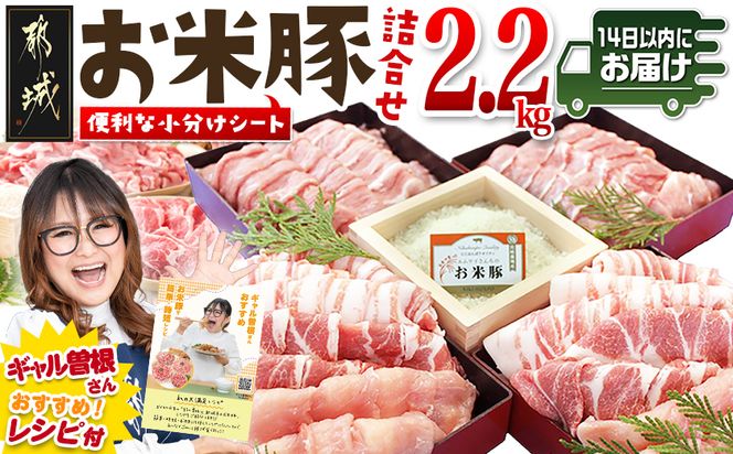 y{茧sszē2.2kgZbg݂₱񂶂ց_14-3101-R