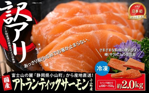 【訳アリ】小山町産 アトランティックサーモン 約2kg（柵）魚体2.0kg未満