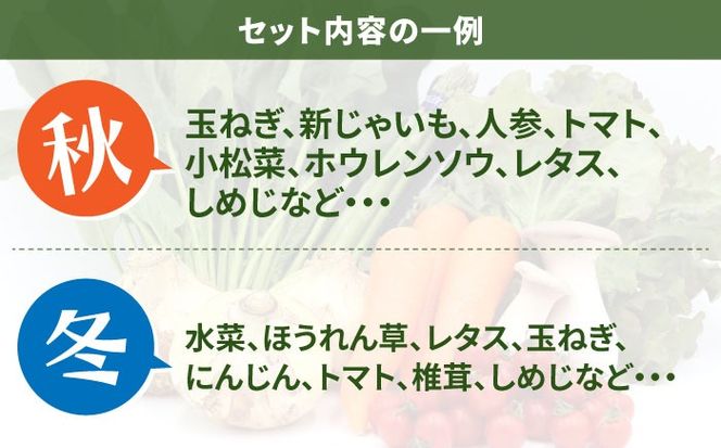 【3回定期便】お試し野菜セット 8品目 詰め合わせ / 野菜 やさい ヤサイ 旬 新鮮 / 南島原市 / 吉岡青果[SCZ028]