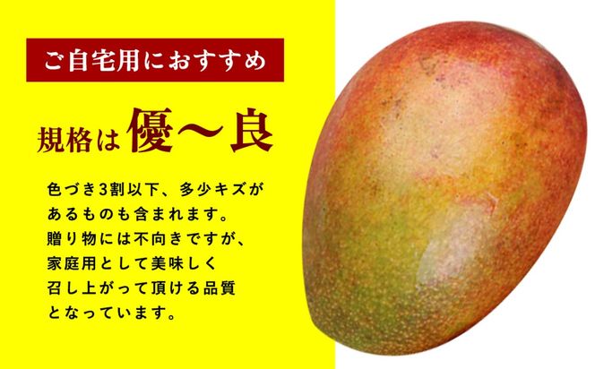 【2027年発送 先行予約】アップルマンゴー 家庭用 4kg以上（10～14玉）大容量