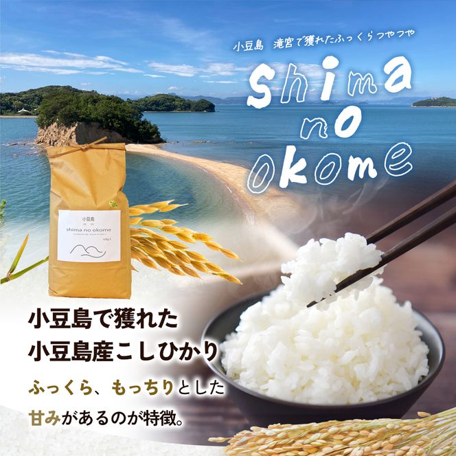 【 小豆島 】小豆島 滝宮で獲れたふっくらつやつや 小豆島産 コシヒカリ 10kg こしひかり お米 米 白米 精米 もっちり 甘み 香川 香川県 土庄 土庄町
