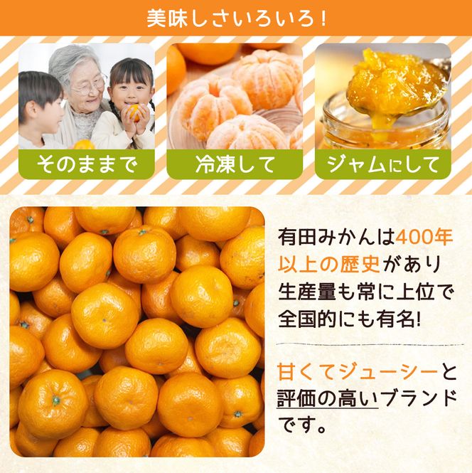 ZJ6088_【2026年先行予約】ご家庭用　和歌山 有田みかん 約10kg (M、Lサイズ)【湯浅町】