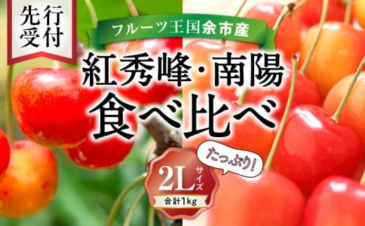 2026年発送【先行予約】令和8年産 紅秀峰南陽食べ比べ【2Lサイズ】各500g【ニトリ観光果樹園】余市 北海道 フルーツ王国 さくらんぼ サクランボ 桜桃 紅秀峰 南陽 食べ比べ 余市産さくらんぼ 人気さくらんぼ ニトリ_Y074-0141
