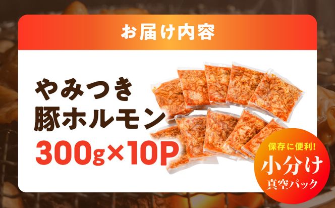 やみつき豚ホルモン!3kg!真空小分けパック!≪みやこんじょ特急便≫_LG8-3303-Q_(都城市) 国産豚 ホルモン 味付き 300g×10P 3kg 小分け 真空パック 豚肉