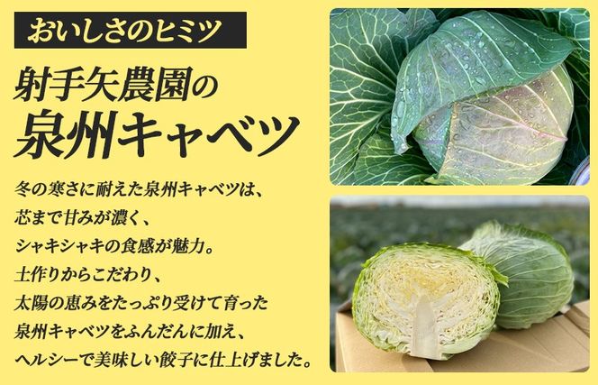 005A730-1 【訳アリ】泉州キャベツ餃子80粒【射手矢農園×李朝園 生餃子 手作り ぎょうざ ギョーザ 惣菜 冷凍 焼くだけ 簡単調理 フードロス削減】