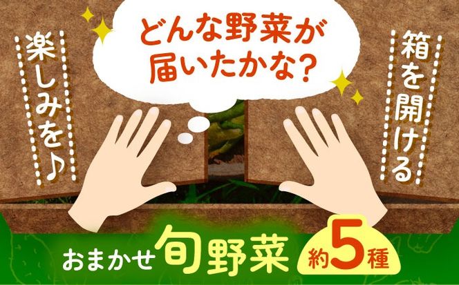 野菜 季節の旬の野菜おまかせBOX 農家直送 野菜 詰め合わせ 愛西市 / 平野農園[AEDO001]