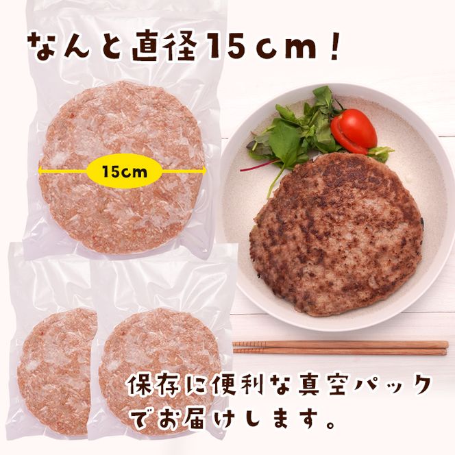 淡路島たまねぎのBIG SIZEハンバーグ 500g×3個