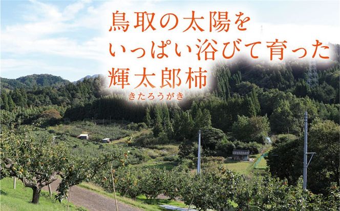 輝太郎柿 3キロ【鳥取いなば農業協同組合】 312011_CR004