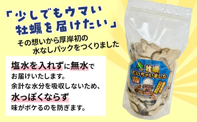 訳あり 牡蠣 生食 むき身 400g×1 無水 スタンドパック 北海道 厚岸産 牡蠣むいちゃいました【マルユウ海楽】[ カキ 牡蠣 貝 海のミルク ブランド牡蠣 海鮮 国産 むきかき 剥き身 少量 オイスター マルえもん ]