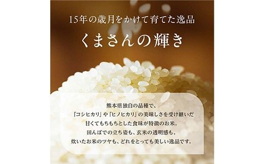 FK7-0275_【6カ月定期】【嘉島町産】くまさんの輝き 10kg 米 お米 コメ ごはん ご飯 食品 九州 熊本県 熊本 嘉島