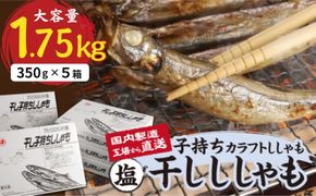 国内加工　塩ししゃも　5箱セット-[G505]