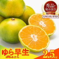 MK1057_【2026先行予約】ゆら早生 みかん 箱込 2.5kg ( 内容量 2.3kg ) S M Lサイズのいずれか 秀品 優品 混合 有田みかん 和歌山県産