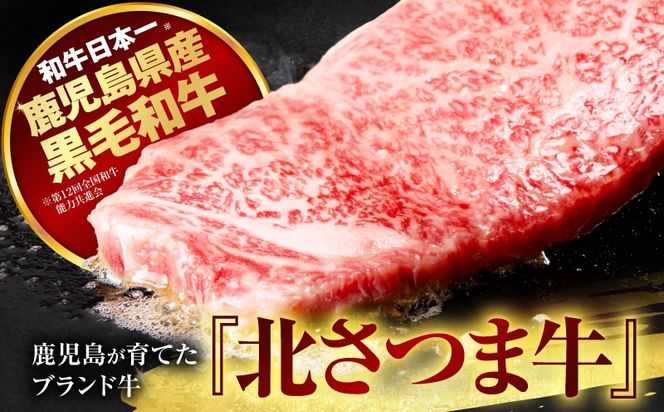 北さつま牛 サーロインブロック　K137-007