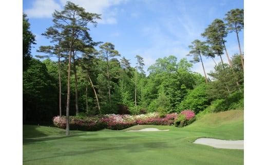 【備中高原北房カントリー倶楽部】土日祝日ゴルフプレー券（セルフ1名様・食事代別） 【bkhk001-02】