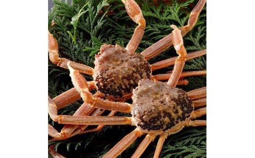 y挧khz773.yz 2025N11  tɁyuh^Otz 400g×2t 313726_BS020VC01