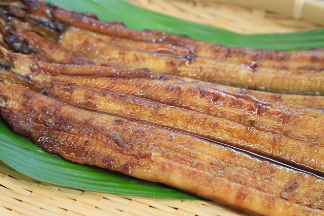 【魚のプロが厳選】愛知県三河一色産 活うなぎの蒲焼き 1尾（約150g） 18-24