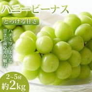 【とろける甘さ】熊本県産ハニービーナス 2～5房(約2kg) 1箱 ハニービーナス ぶどう フルーツ 高級 大粒 甘い 濃厚 ギフト 贈答用 家庭用 お取り寄せ 熊本県