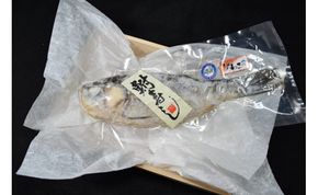 琵琶湖産天然ニゴロブナ　鮒寿し（子持）１尾【D004W】（滋賀県　近江八幡市）
