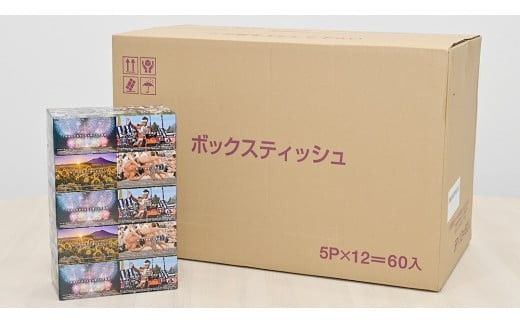 スピード発送!! 筑西市PR ボックスティッシュ 60箱 ( 5個入り × 12セット ) 1箱200組 400枚 パルプ100% 非売品 ティッシュ ティッシュペーパー 日用品 消耗品 常備品 まとめ買い スピード配送 [EN001ci]