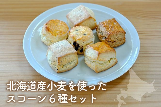 菓子 道産小麦のほわっとmederu スコーン 6種 セット 冷凍 [mederu 北海道 砂川市 12261123] お菓子 焼き菓子 洋菓子 焼菓子 スイーツ おやつ デザート