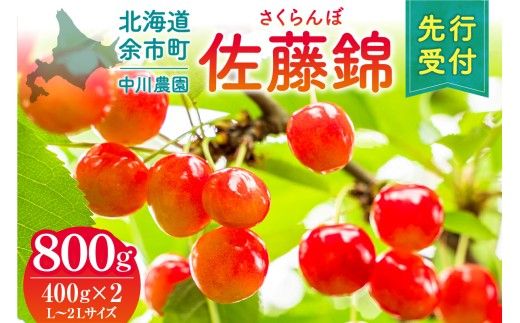 2026年発送【先行予約】令和8年産 さくらんぼ 佐藤錦【L～2Lサイズ】400g×2 【合同会社中川農園】_Y141-0004