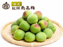 青梅 厳選 南高梅 5kg+250g（痛み補償分） / 梅 梅ジュース 梅酒 梅干し 高級 和歌山 ※5月中旬～6月下旬頃に発送予定 ※北海道・沖縄・離島への配送不可 【ikd508-p-5G】