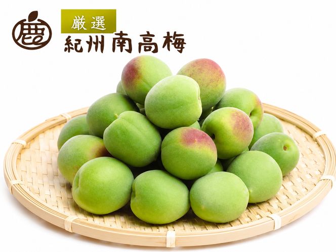 青梅 厳選 南高梅 5kg+250g（痛み補償分） / 梅 梅ジュース 梅酒 梅干し 高級 和歌山 ※5月中旬～6月下旬頃に発送予定 ※北海道・沖縄・離島への配送不可 【ikd508-p-5G】