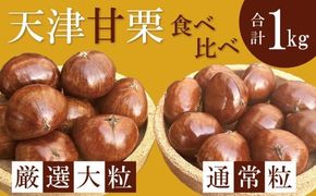 この道50年の職人が焼く、やさしい甘みたっぷりの「厳選大粒と通常サイズ」合計1kg！食べ比べセット 焼きたて 栗 くり 栗爪 殻付き お菓子 おつまみ 人気 高リピート 小分け 栗ご飯 栗きんとん 甘露煮 H045-063
