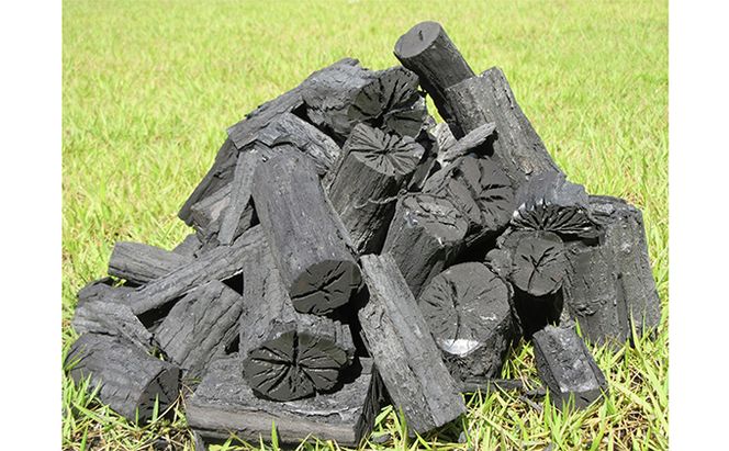 森のちから　五名の炭（黒炭　ウバメガシ）12kg（6kg×2箱）(配送不可:北海道・沖縄県・離島地域) 雑貨 日用品 