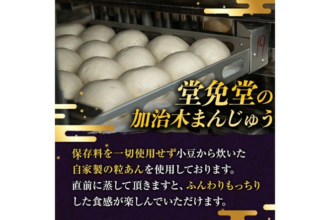 a959 選べるセット！加治木まんじゅう詰合せ合計18個(プレーン・よもぎ・黒糖）和菓子 まんじゅう 饅頭 加治木饅頭 酒まんじゅう 手づくり お菓子 おやつ スイーツ デザート お茶請け お茶菓子 郷土菓子 セット 詰め合わせ 冷凍【堂免堂】