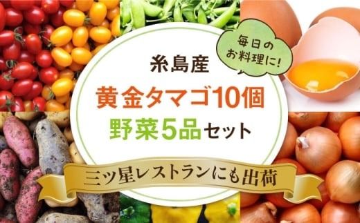 糸島の朝産み黄金タマゴ10個 朝どれ新鮮野菜5品 セット【福岡県糸島産】 糸島市 / オーガニックナガミツファーム 玉子 やさい 	[AGE046]