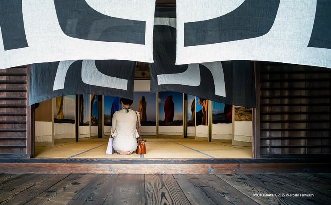 【高島屋選定品】KYOTOGRAPHIE 京都国際写真祭 2026「パスポートチケット」｜京都国際写真祭 チケット 入場券 人気［ KYOTOGRAPHIE 京都国際写真祭 EDGE アート 写真展 美術 人気 おすすめ チケット 観光 送料無料 ふるさと納税 ］ 261009_A-ADJ001