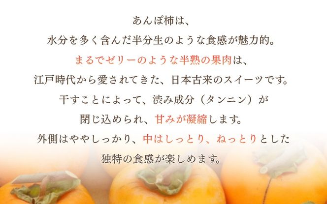 甘さが違う！とっても甘くなる生渋柿（平たねなし柿）あんぽ柿用 T軸枝無  約4.5～5kg　約24～30個＜2026年10月中旬～11月上旬ごろ順次発送＞-AP【art003B】